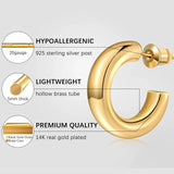 Aurora Gold Hoop Earrings